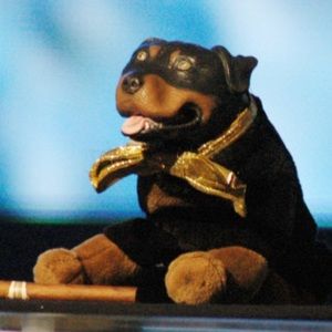 Meet your Posher, Jonathan